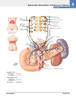 Frank H. Netter, MD - Atlas of Human Anatomy (6th ed ) 2014, page 344